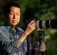 足球比分业务-足球比分业务，从数据洪流中掘金体育产业的黄金赛道